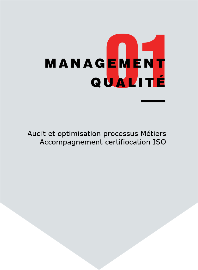 Audit et optimisation des processus Métiers